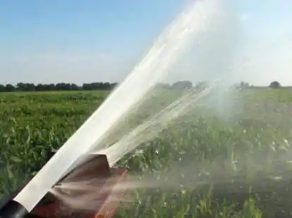 Regenwasser zu bewirtschaften, anstatt die kostbare Ressource blo&szlig; abflie&szlig;en zu lassen, fordert SPD-Fraktionschef Ulf Moritz. Es k&ouml;nnte zur Bew&auml;sserung genutzt werden &ndash;auch in Gewerbegebieten (Symbolbild).