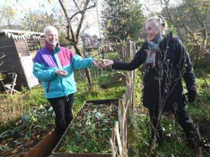 Auch im Sp&auml;therbst tut sich was auf der Kleingarten-Anlage &bdquo;Wunderburg&ldquo; in Oldenburg.