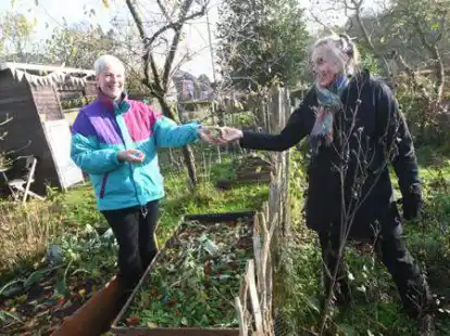 Auch im Sp&auml;therbst tut sich was auf der Kleingarten-Anlage &bdquo;Wunderburg&ldquo; in Oldenburg.