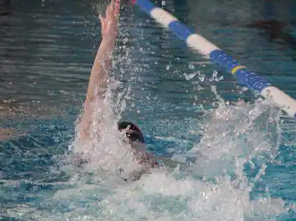 Im Wasser geht es wieder m&auml;chtig rund.