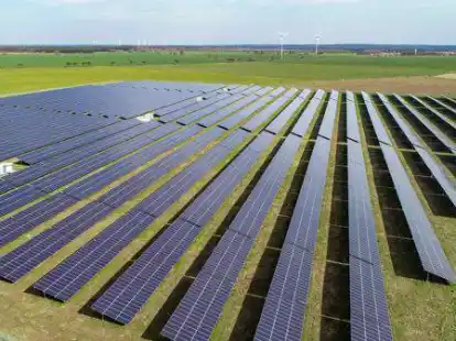 Aus Sicht der Gr&uuml;nen f&uuml;r eine erfolgreiche Energiewende unverzichtbar: Freiland-Photovoltaikanlagen.