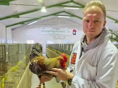 Preisrichter Patrick Tolle mit einem Hahn der Rasse Bielefelder Kennhuhn, das er gerade bewertet hat