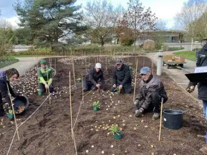 Derzeit werden die Beete im Park der G&auml;rten vorbereitet und neue Blumenzwiebeln gesetzt: Bj&ouml;rn Ehsen (rechts), g&auml;rtnerischer Leiter des Parks, mit den Mitarbeitenden beim Einpflanzen der Blumenzwiebeln.