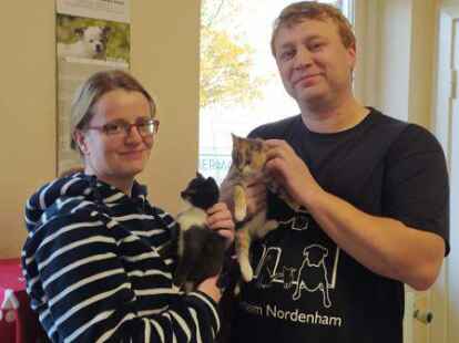 Sabrina und Sebastian Wulff betreiben das Tierheim Nordenham. Zurzeit sind dort viele Katzenbabys untergebracht.