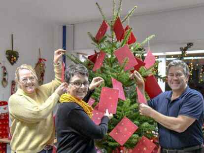 Gestalten den Weihnachtsbaum mit W&uuml;nschen (von links): Ellen Evers, Ulrike Ihmels und Andr&eacute; Sabzog gestalteten den Weihnachtswunschbaum.