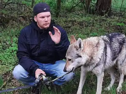 Wolfsp&auml;dagoge Thomas Frost brachte am Sonntag auch zwei seiner Wolfshunde mit. Besucher sollten daher keine Hunde zur Veranstaltung mitbringen.