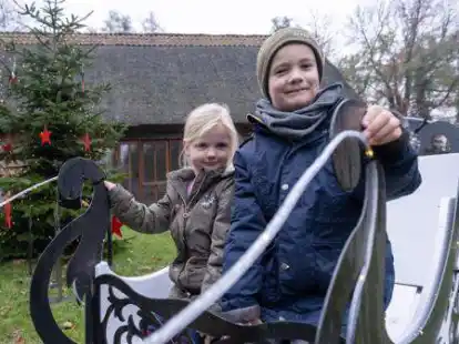 Esther (5) und Konstantin (8) warten in der Kutsche beim Nikolausmarkt vielleicht auf das Christkind.