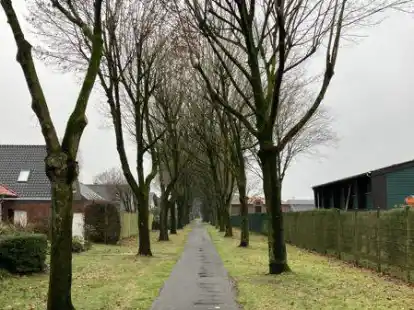 Auf dem Bild ist die ehemalige Bahntrasse und rechts das Gel&auml;nde der Stra&szlig;enmeisterei zu sehen. Diese wird bald an den C-Port verlegt. Hier w&auml;re dann Platz f&uuml;r einen Bahnhof &ndash; findet zumindest B&uuml;rgermeister Sven Stratmann.