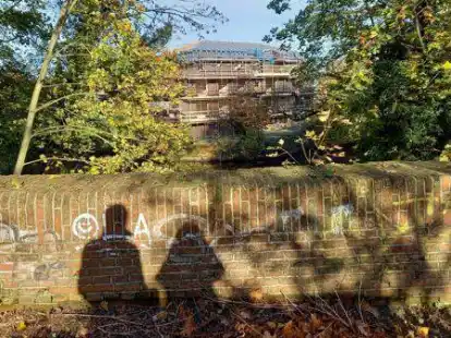 Schattenspiele im November: Auch wenn es viel regnete, hielt der Monat trotzdem ein paar sch&ouml;ne Tage parat.