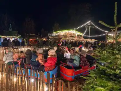 Gro&szlig;er Spa&szlig; f&uuml;r kleine Besucher: Im Weihnachtsdorf in Rastede drehten die Kinder ihre Runden in einer Eisenbahn.