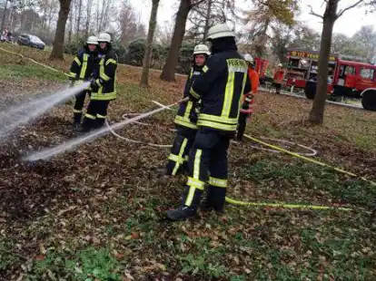 Die Freiwillige Feuerwehr Neuenbrok r&uuml;ckte zu einem Fl&auml;chenbrand aus. Direkt am Ortsausgang in Richtung Nordermoor brannte aus unbekannter Ursache ein Haufen mit Str&auml;uchern und Bl&auml;ttern in einem kleinen Waldst&uuml;ck.