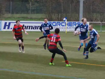 Auf dem Weg zum vierten Sieg im vierten Spiel: die Rugbyspieler der Northern Lions (in blau).