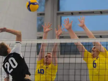 Rodenkirchens Volleyballer (in Gelb) zeigten eine starke Leistung.