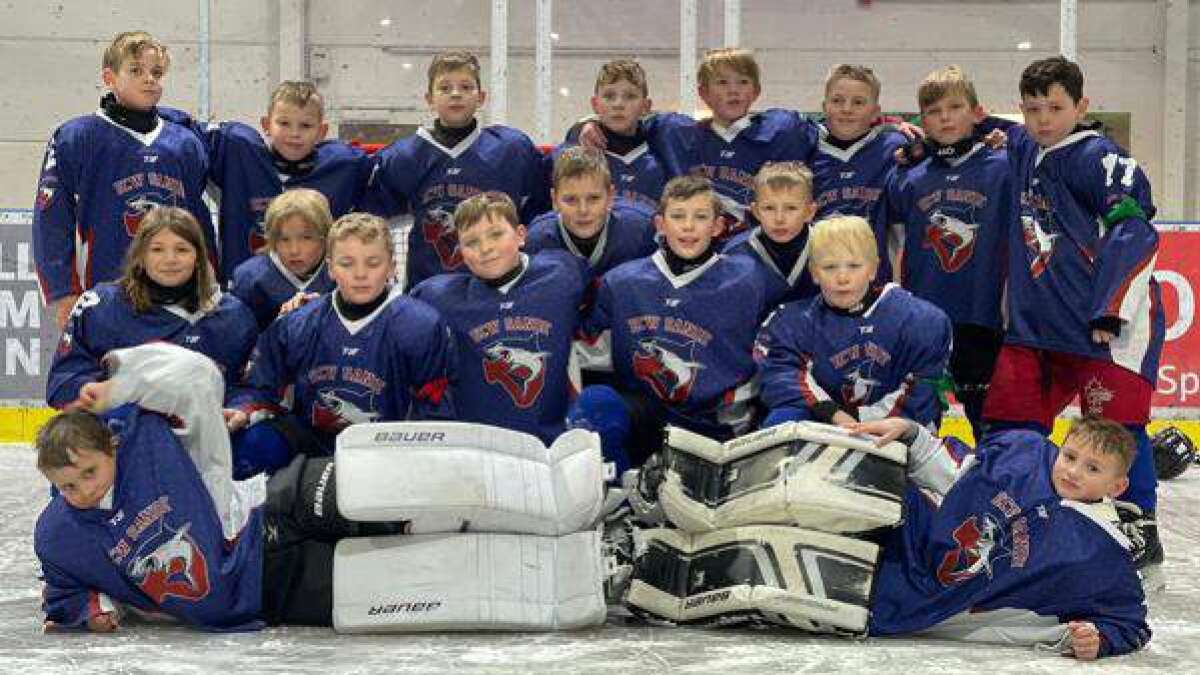 Eishockey-Nachwuchs des ECW Sande: Junghaie schaffen Sprung in ...