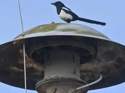 Noch immer gibt es im Landkreis Aurich Sirenen auf &ouml;ffentlichen D&auml;chern. Aber diese bleiben am Warntag stumm.