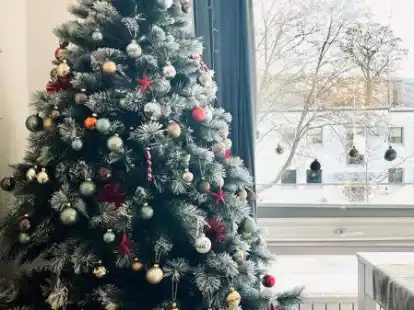 Gerade &bdquo;gewachsen&ldquo;, macht keinen Dreck und sieht auch nach Wochen noch gut aus: Immer h&auml;ufiger greifen auch in Emden die Kunden inzwischen zum Plastikweihnachtsbaum.