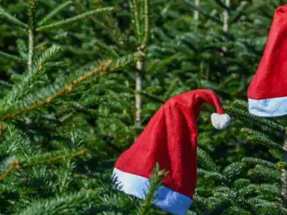 Weihnachtszeit: In Sandkrug werden mehrere besinnliche Gottesdienste angeboten (Symbolbild)