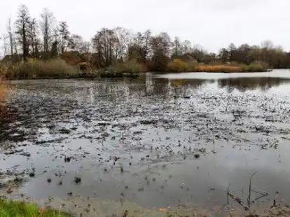 Dem alten Binnensee Sandwater in Simonswolde droht weiterhin die Verschlammung und Austrocknung.