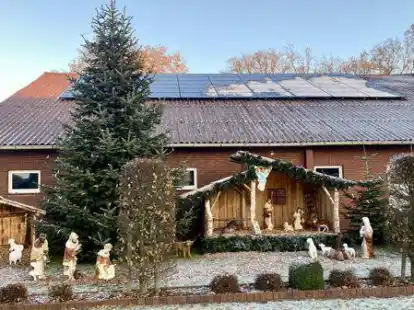 Die Weihnachtskrippe der Familie Rolfes: Der Aufbau dauert rund zwei bis drei Tage.