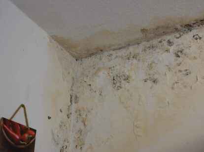 Die K&uuml;che grenzt an das Badezimmer. Auch hier und im Flur der Wohnung sind W&auml;nde nass und verschimmelt.