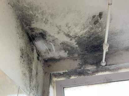 Auch an der Fensterseite des Bades bildet sich immer wieder gro&szlig;fl&auml;chig schwarzer Schimmel.