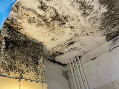 So sah es vor der letzten Reinigung aus, die die Mieter notgedrungen selbst durchf&uuml;hrten.