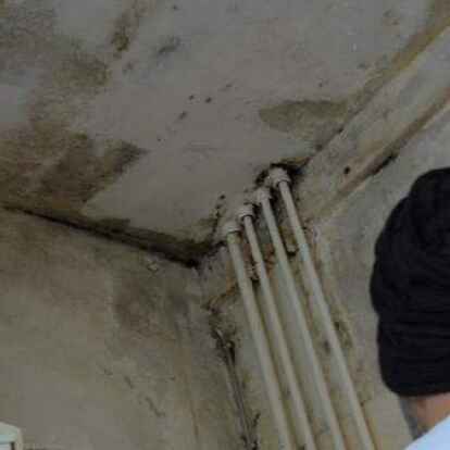 Mehrfach schon haben die Mieter den schwarzen Schimmel selbst entfernt. An vielen Stellen zeigt er sich schon wieder. Ursache ist wahrscheinlich ein Leck in  einer dieser Wasserleitungen, die durch das Badezimmer f&uuml;hren. Zu sehen ist das Leck nicht.