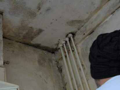 Mehrfach schon haben die Mieter den schwarzen Schimmel selbst entfernt. An vielen Stellen zeigt er sich schon wieder. Ursache ist wahrscheinlich ein Leck in  einer dieser Wasserleitungen, die durch das Badezimmer f&uuml;hren. Zu sehen ist das Leck nicht.