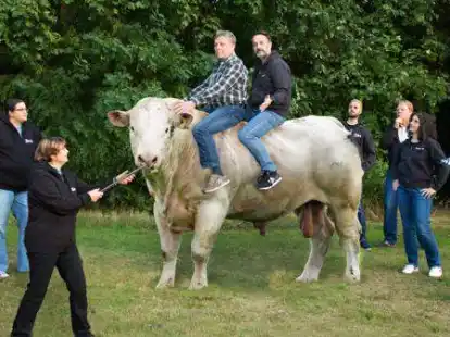 Um &bdquo;Herkules de Prachtbull&ldquo; geht es in der Kom&ouml;die der Korsorsbarger Speeldeel, die im M&auml;rz in Ganderkesee zu sehen sein wird.