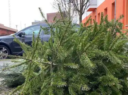 Zugunsten der Jugendfeuerwehr werden die ausgedienten Weihnachtsb&auml;ume in S&uuml;dmoslesfehn gesammelt.