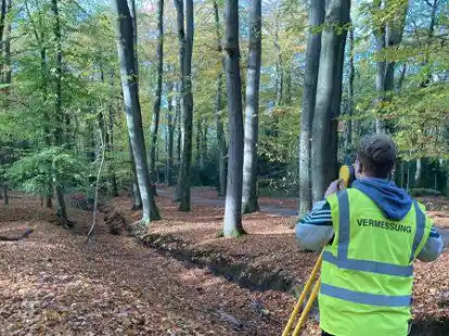 Das Eversten Holz (Bild) und der Schlossgarten sind Bestandteil des Projekts Klimaoasen.