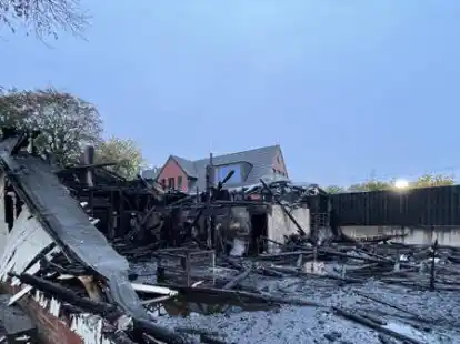 Nur noch Tr&uuml;mmer: Der Schaden nach dem Brand einer Bootshalle in Wilhelmshaven im Oktober ist hoch. Der Tatverd&auml;chtige wird auch verd&auml;chtigt die Feuerwehrautos im Kreis Aurich gestohlen zu haben.