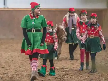 Die Wichtel wollen das Weihnachtsfest retten.