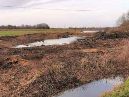 Das Holz muss noch abgefahren werden, dann ist der neue Wiesenvogel-Lebensraum bezugsfertig.