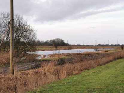 So sieht der Bereich jetzt aus. Links eine der geb&uuml;schartig gewachsenen Weiden, die stehenblieben.