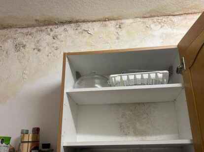 Die R&uuml;ckwand des K&uuml;chenschranks ist mittlerweile durchn&auml;sst, Schimmel bildet sich seit einigen Tagen auch dort.