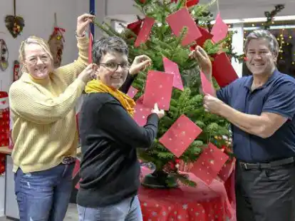 Vorfreude aufs Fest (von links): Ellen Evers, Ulrike Ihmels und Andr&eacute; Sabzog gestalteten den Weihnachtswunschbaum.