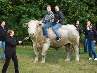 &bdquo;De Korsorsbarger Speeldeel&ldquo; zeigt: &bdquo;Herkules de Prachtbull&ldquo;.