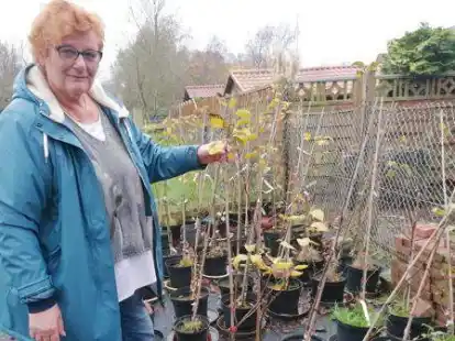 Engagiert sich f&uuml;r den Erhalt alter und seltener Obstbaumsorten: Insa Lottmann, hier in ihrem Obstbaum-Kindergarten in Harsweg.