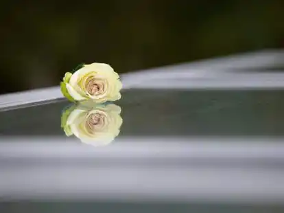 Die Samtgemeinde Hesel m&ouml;chte eine Gedenkst&auml;tte errichten.