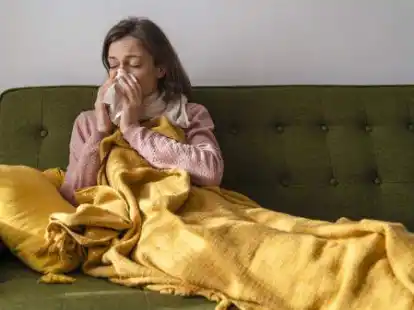 Hatschi! So oder &auml;hnlich sitzen oder sa&szlig;en in den letzten Wochen viele Menschen in Niedersachsen zu Hause.