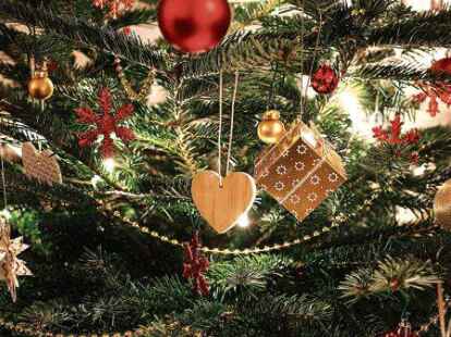 Die Landwirtschaftskammer Niedersachsen gibt Tipps, wie der Weihnachtsbaum m&ouml;glichst lange ansehnlich bleibt.