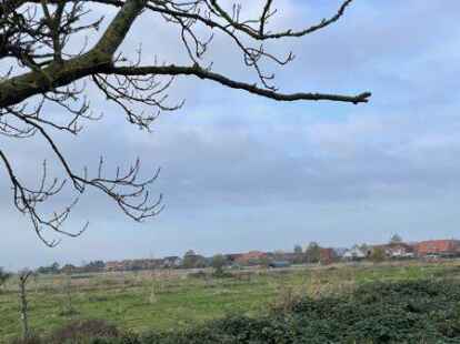 Ausgleichsfl&auml;che auch vor Ort: Zwischen Bahn und Baugebiet sind B&auml;ume gepflanzt und Nisthilfen errichtet.