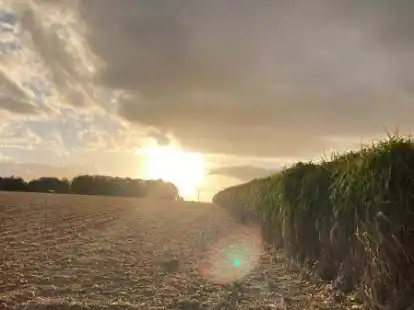 Ob es zum geplanten Energiepark mit Photovoltaik-Feldern und Windkraftanlagen in Rastede kommt, ist noch offen &ndash; hier ein Symbolbild.