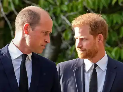 Das schwierige Verh&auml;ltnis von William (l) und Harry belastet auch die Familie.