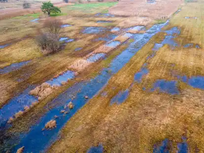Das rund 36 Hektar gro&szlig;e wiedervern&auml;sste Hangquellmoor Binsenberg. Trockengelegte Moore sto&szlig;en Treibhausgas aus. Ihre Wiedervern&auml;ssung gilt als wichtige Klimaschutz-Ma&szlig;nahme.