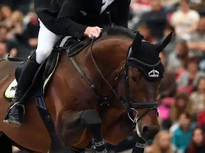 Ritt in Verona auf Platz neun:&nbsp;Marcus Ehning reitet auf Stargold.