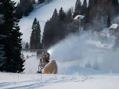 Es gibt in Europa keine Skigebiete mehr, die schneesicher sind, sagt Geografieprofessorin Carmen de Jong.