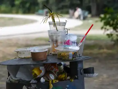 Ein &uuml;bervoller M&uuml;lleimer mit Partym&uuml;ll im Treptower Park in Berlin. Viele Gastst&auml;tten bieten ihrer Kundschaft laut Greenpeace noch immer keine Mehrweg-Verpackungen an.