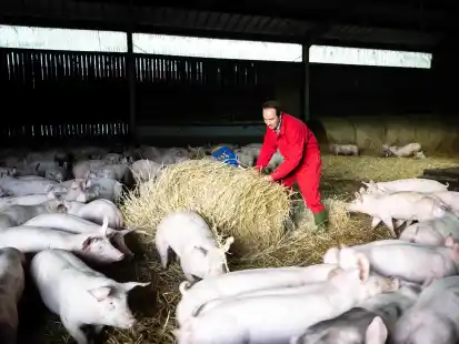 J&ouml;rn Ehlers, Landwirt und Vizepr&auml;sident des Landesbauernverbandes Niedersachsen, steht in einem seiner Schweinest&auml;lle.